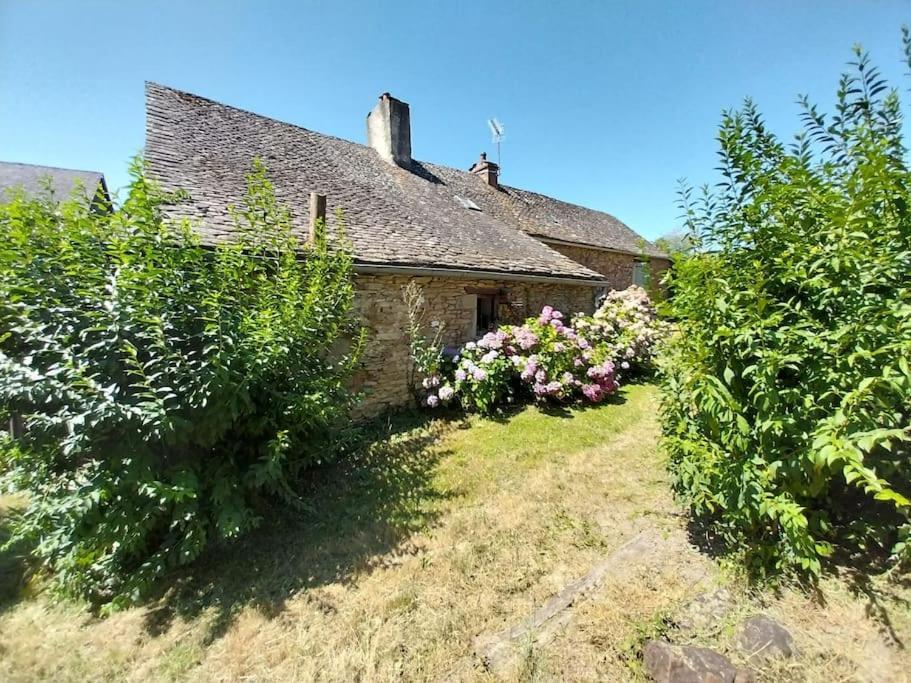 Maison En Pierres Pradinas Exterior photo